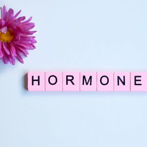 leistungen-hormone-3